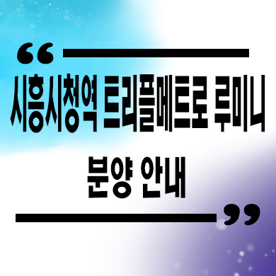  시흥 장현지구 오피스텔 트리플메트로 루미니 투룸 분양가 잔여세대