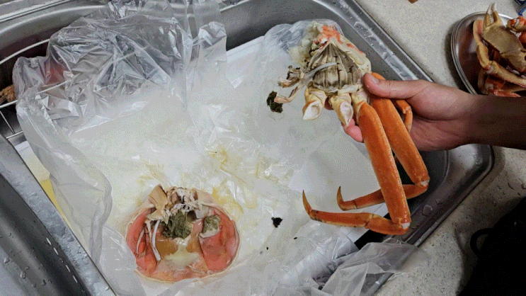  롯데마트 맥스 러시아 대게 할인 내돈내산 후기