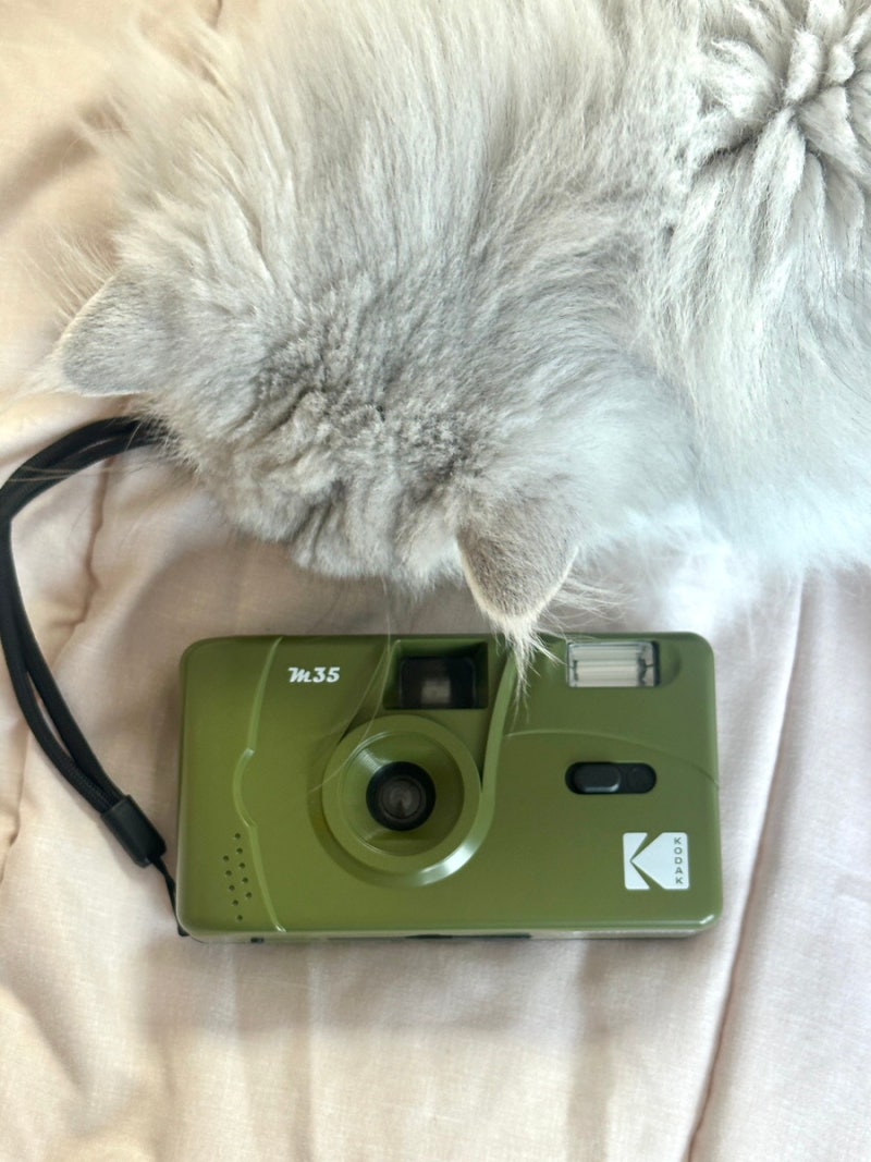코닥 토이 필름 카메라 M35 사용법 필름 넣는 법