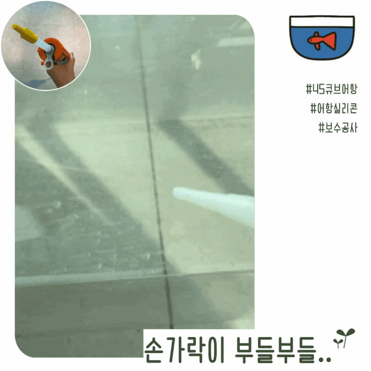  45큐브 어항 실리콘 보수공사 셀프로 손가락 부들부들