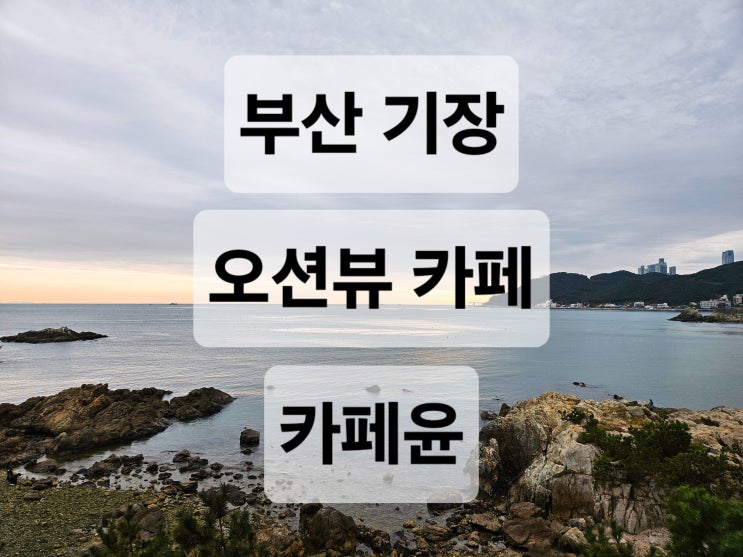  부산 기장 노을 지는 오션뷰가 예쁜 카페  카페윤