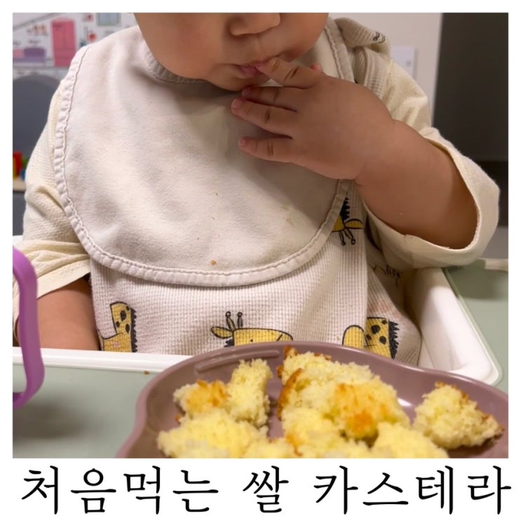  [아기 카스테라]16개월간식 베베쿡 처음먹는 쌀 카스테라