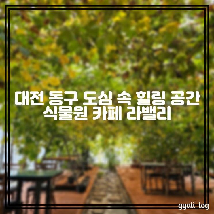 대전 동구에서 찾은 플랜테리어 힐링 식물원 카페 라밸리 - 도심 속 힐링 공간 대전 동구에서 찾은 플랜테리어 힐링 식물원 카페 라밸리 - 도심 속 힐링 공간