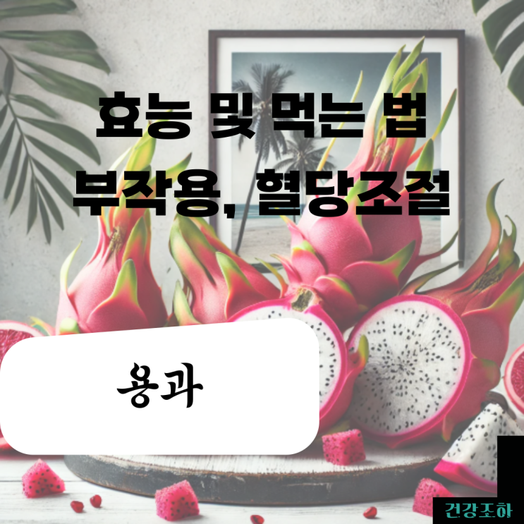  빨간 용과의 효능과 먹는 법 및 혈당조절