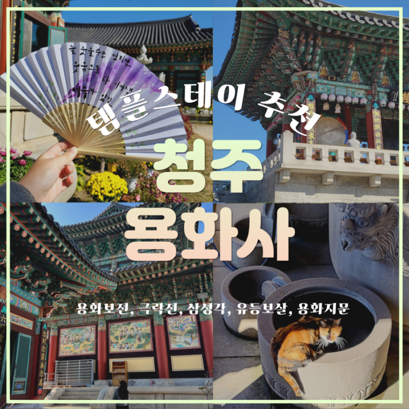 [충북/청주] 청주 용화사 :: 템플스테이 추천 , 도심속 사찰 당일형 힐링 후기