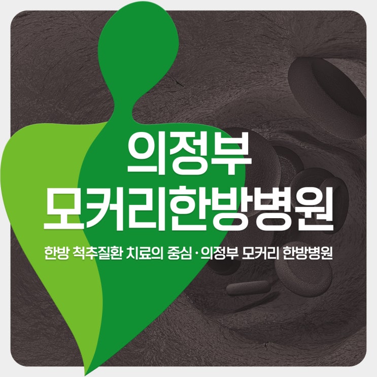  의정부한방병원 교통사고 후유증의 개요 및 원인 | 모커리한방병원