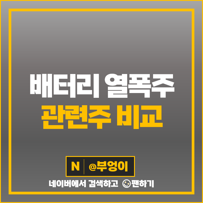 전기차 배터리 열폭주 관련주 신흥에스이씨 주가 나노팀 이닉스 주식 전기차 배터리 열폭주 관련주 신흥에스이씨 주가 나노팀 이닉스 주식