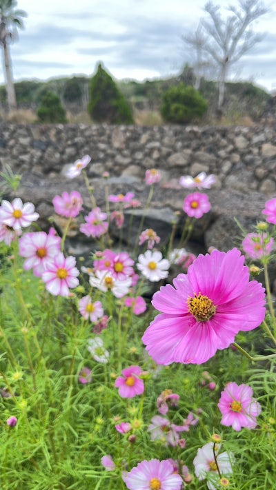 사진 6