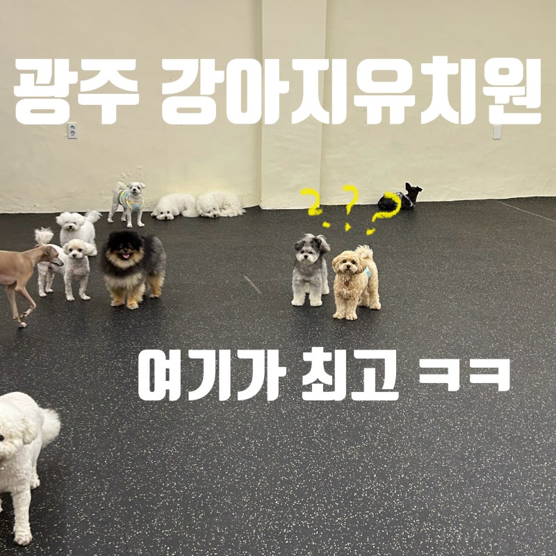 멈무유치원