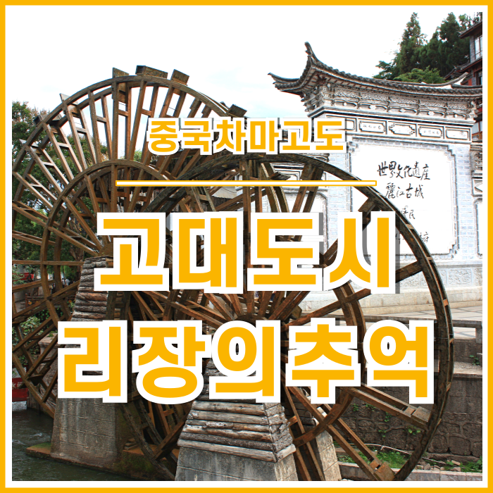  [차마고도] 중국 고대도시 리장의 이색적인 풍경들(2) : 중국여행의추억