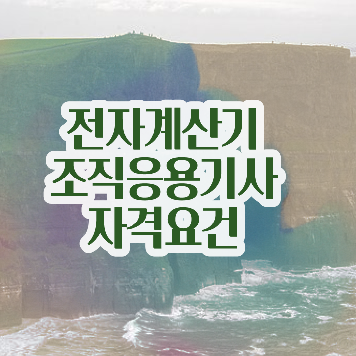  전자계산기조직응용기사 응시자격 전자계산기조직응용기사 응시조건 집에서 온라인으로 간단하게 성공한 노하우