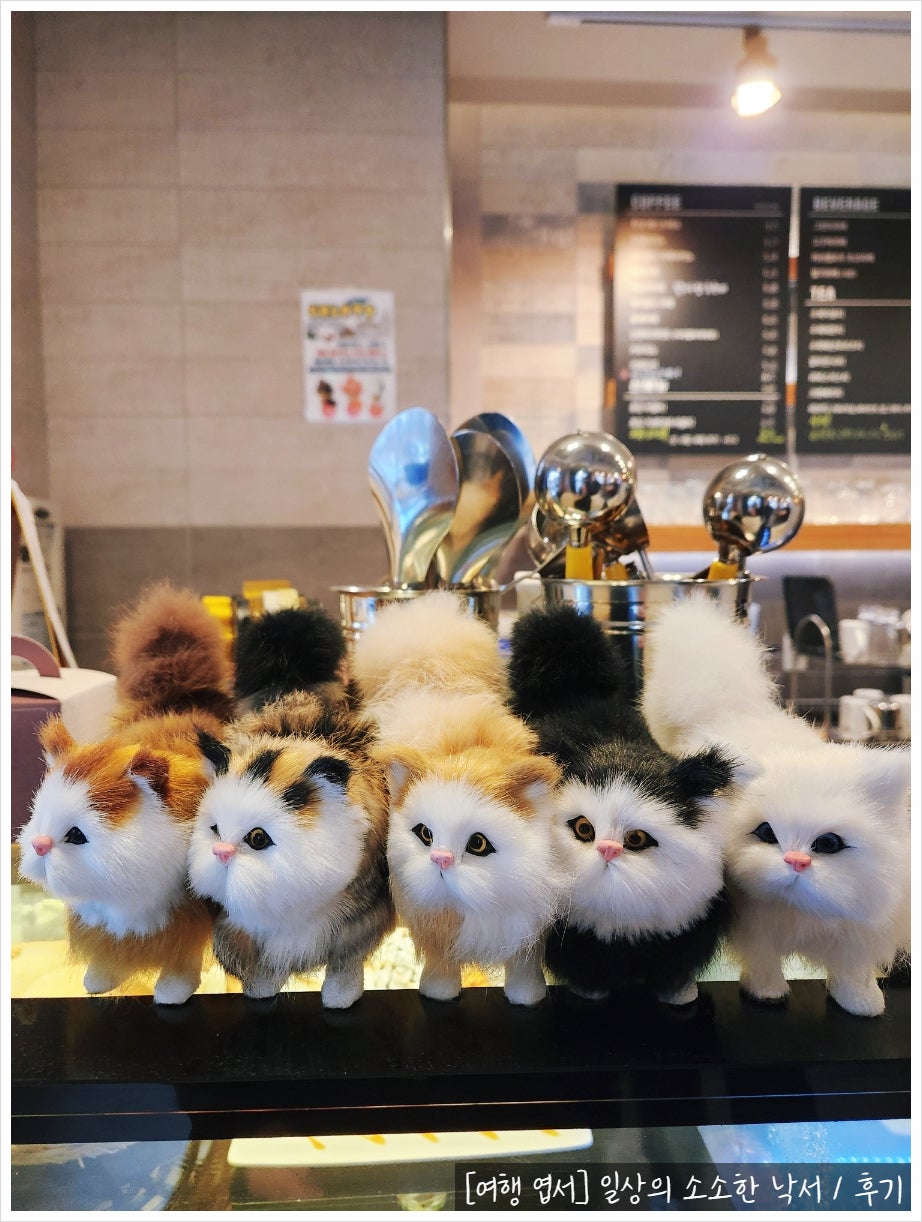 제이트레비카페 사진 4