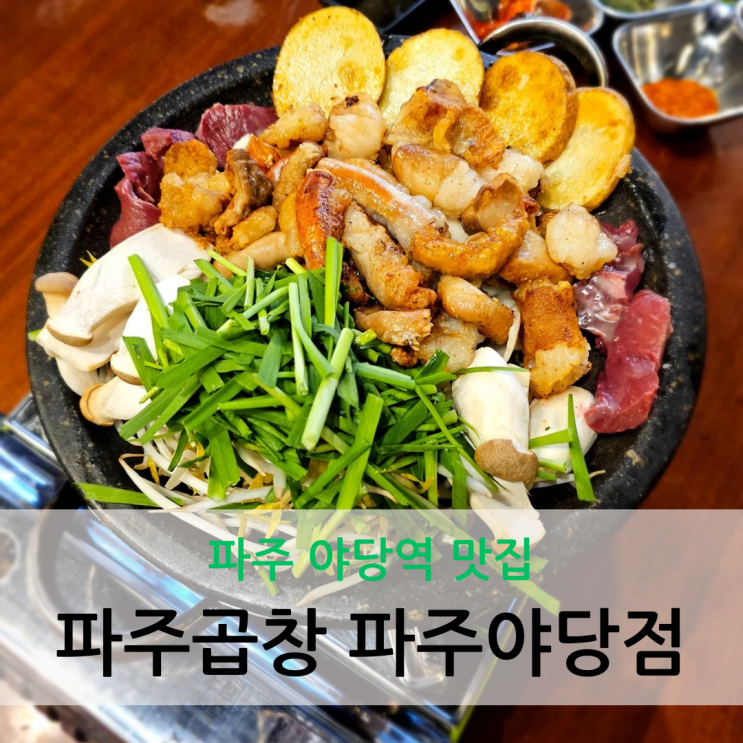  파주 야당역 맛집 푸짐한 한우곱창 모둠 반려동물 동반 가능한 파주곱창