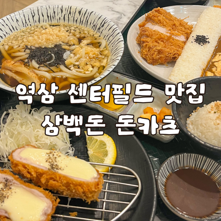  역삼 센터필드 맛집 추천 삼백돈 돈카츠 정식 후기