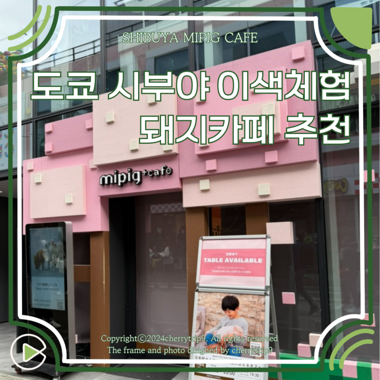  도쿄 시부야 놀거리 하라주쿠 이색체험 돼지카페 mipig cafe 후기