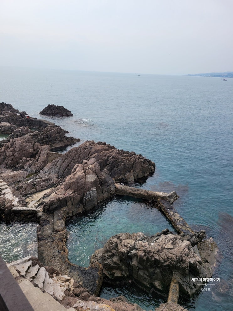  일출명소 | 송대말 등대 | 빛체험전시관 | 경주 | 감포