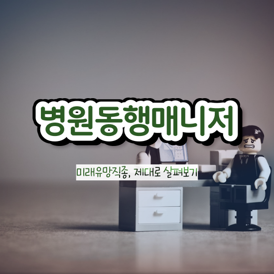  50대 자격증 추천 , 관련학위 없어도 병원동행 성공할 수 있어요