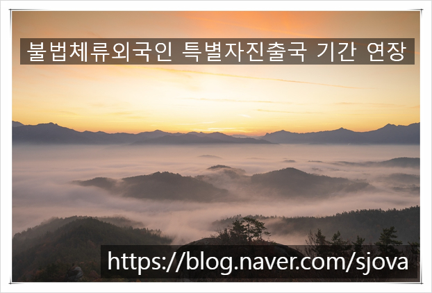  불법 체류자 특별 자진 출국 기간 연장 안내