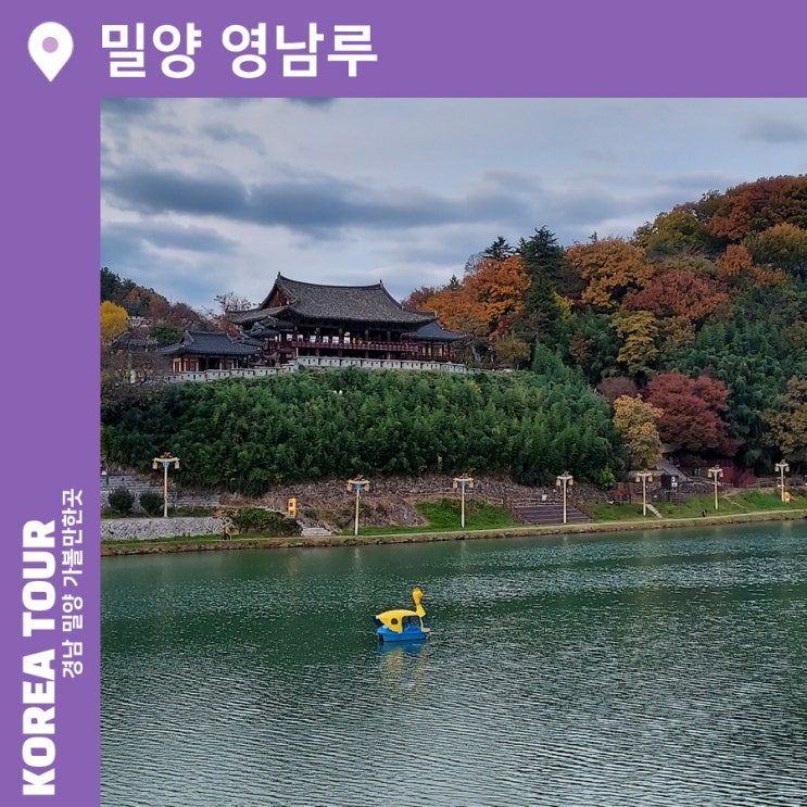  영남루 경남 밀양 가볼만한곳 사진 찍기 좋은 은행나무 단풍 명소 주차장 정보