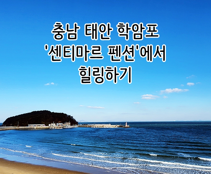  충남 태안 학암포 오션뷰 '센티마르 펜션 비치동'에서 힐링하기