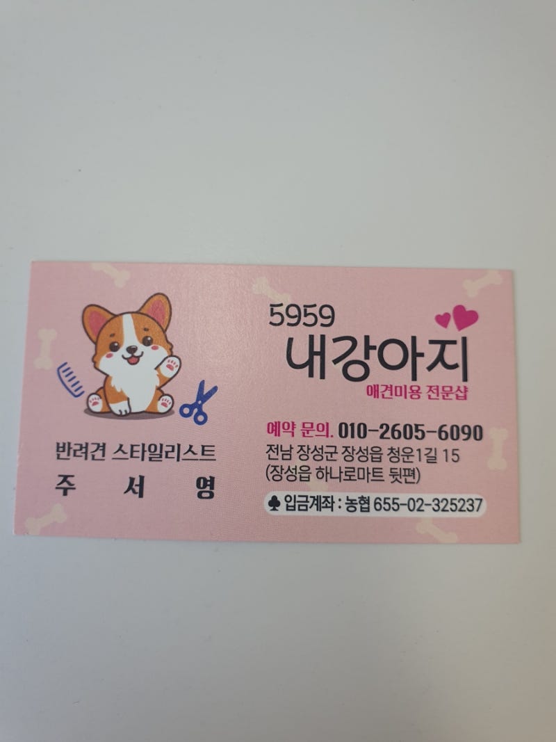 사진 3
