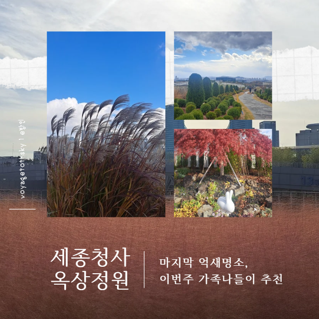  겨울억새명소 II 세종정부청사 하늘공원 I 외부인관람안내 I 눈안오는 세종 I 가족나들이추천