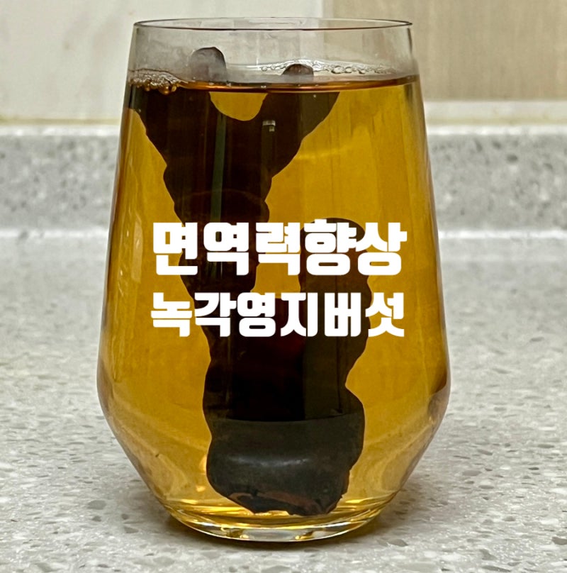 면역력 향상 류충현약용버섯 녹각영지버섯 녹각영지버섯효능