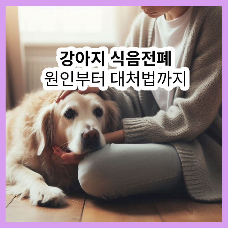  강아지 식음전폐: 원인부터 대처법까지 (노견 식음전폐)