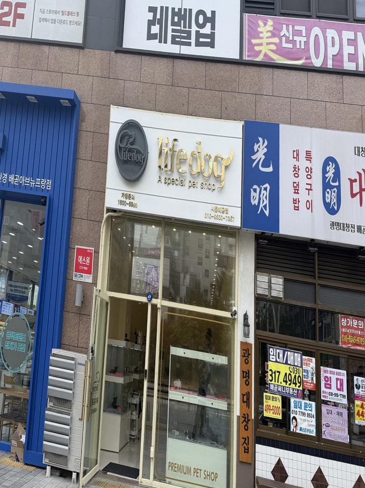  [시흥] 신뢰와 배려가 가득한 강아지 분양 장소, 라이프독 시흥점