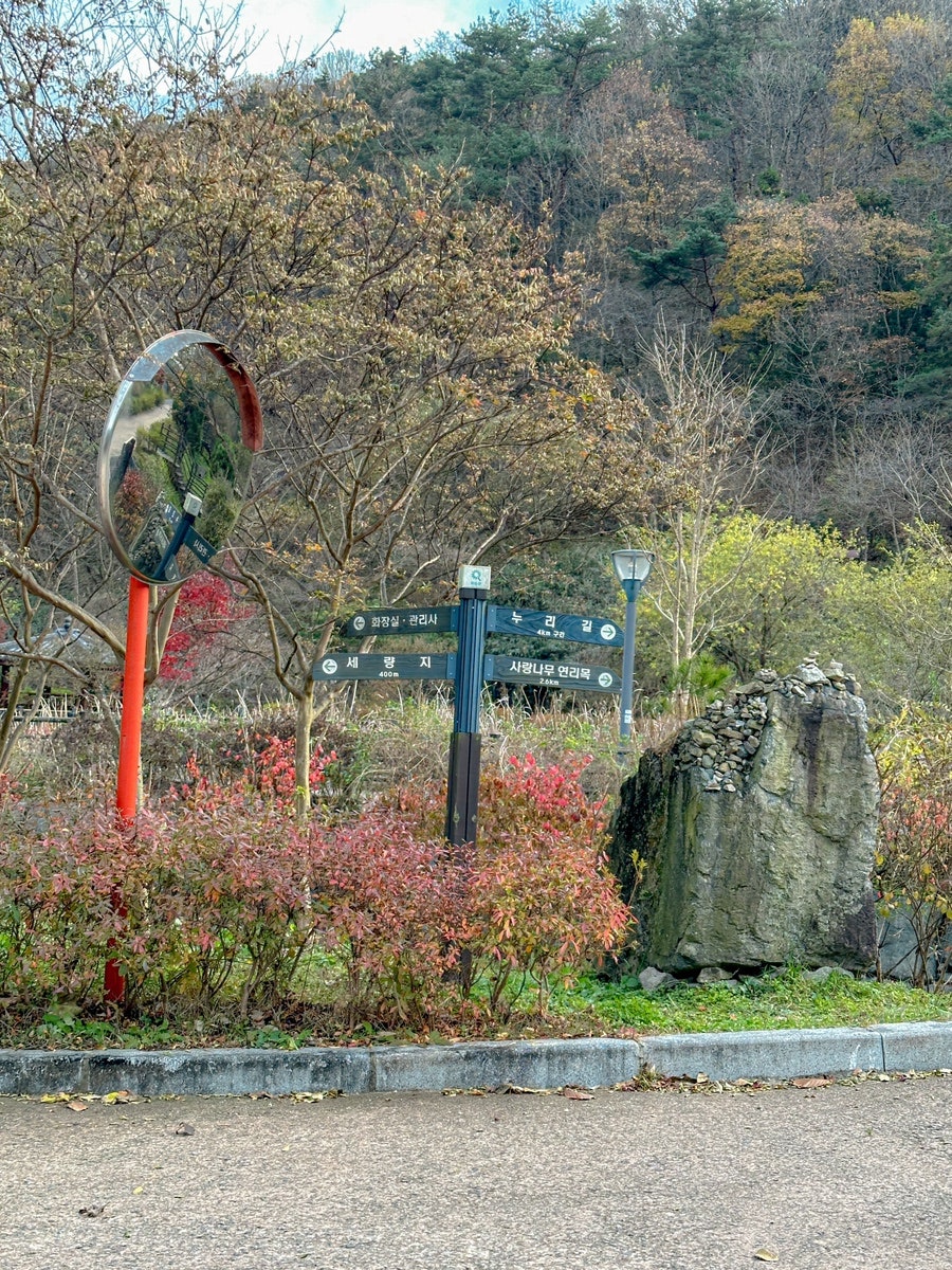 풍경카페 사진 5