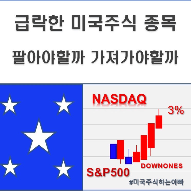  미국주식 폭락할때 팔아야할까 가져가야할까