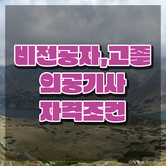  의공기사 채용 의공기사 응시조건 집에서 온라인으로 단기간에 준비한 노하우