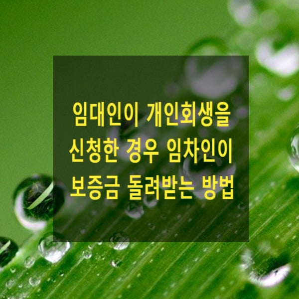  임대인이 개인회생절차를 신청한 경우 임차인이 보증금을 받는 방법