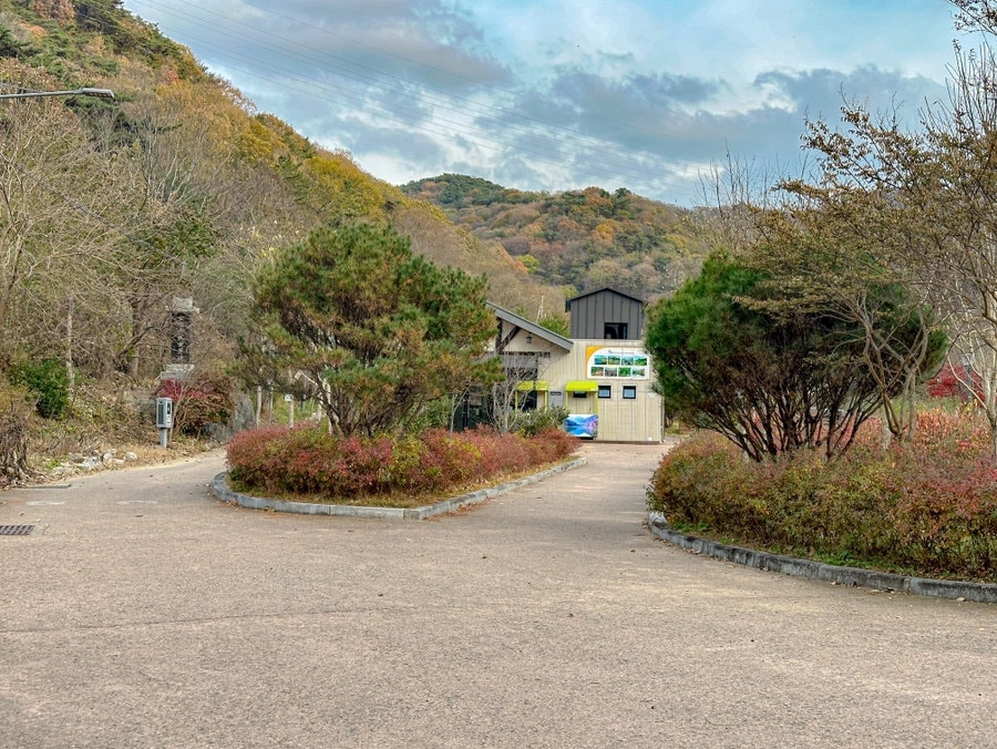 풍경카페 사진 4