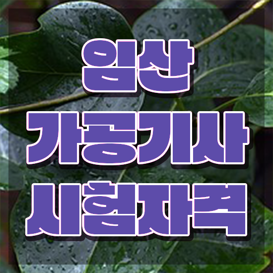  임산가공기사 자격 임산가공기사 시험응시조건 집에서 온라인으로 간편하게 끝낸 방법