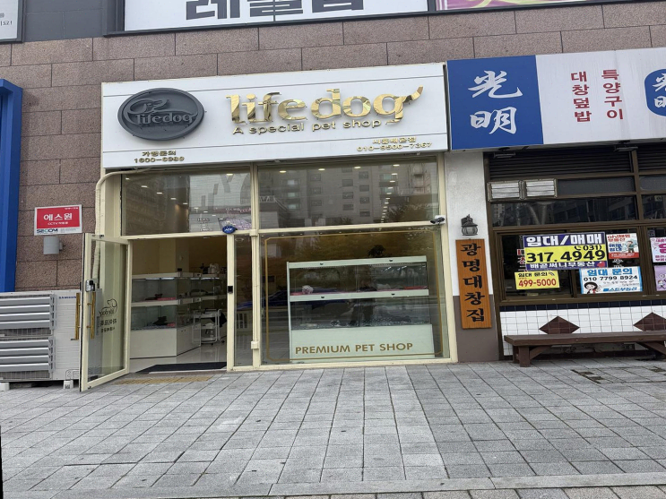  [시흥] 30대 커플의 강아지 분양, 반려문화의 완벽한 사례인 라이프독 시흥점