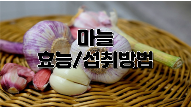 마늘 효능과 섭취방법 그리고 섭취 시 주의사항