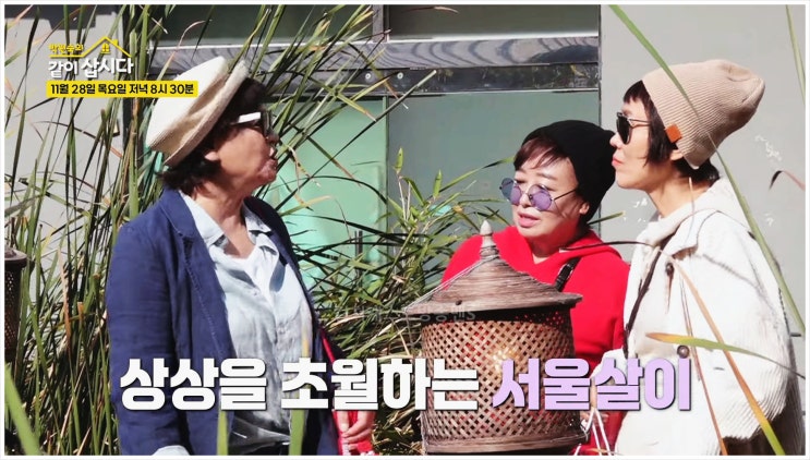  박원숙의같이삽시다 189회 북촌한옥마을 한강공원 성수동 남궁옥분 혜은이 20억 아파트 원미연 뚝섬한강공원 다도 파킨슨병 이별여행 라이브카페 80년대 포크가수