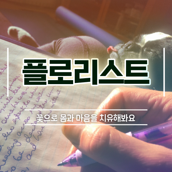  꽃꽂이 오아시스 , 플로리스트 자격증 준비한 방법 체크해보세요