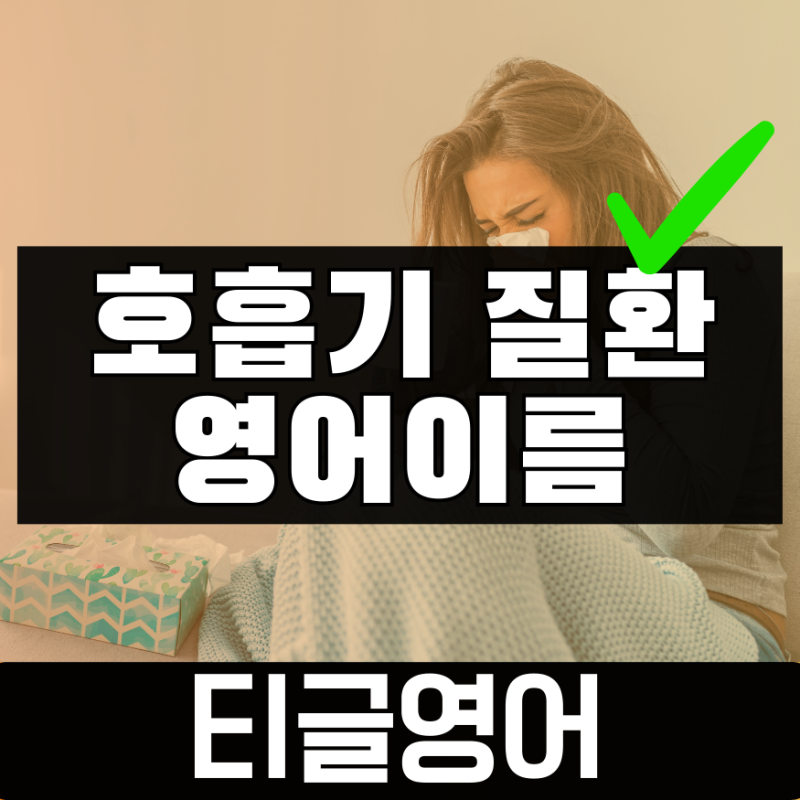 비염 천식 영어로? 호흡기 질병 영어표현 총정리! (Asthma, Allergy, Sinusitis, Bronchitis, Pneumonia 뜻 ....