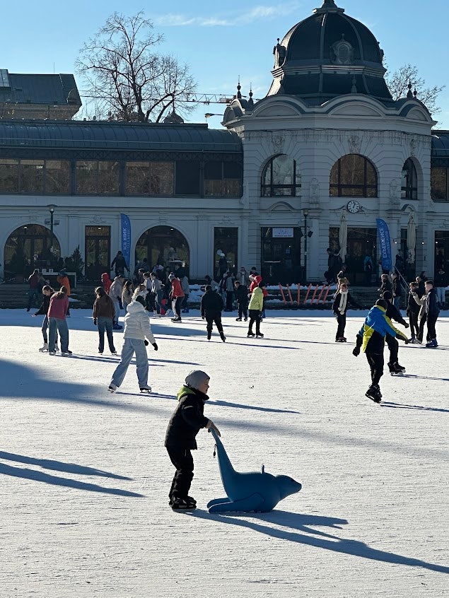  부다페스트 스케이트 아이스링크장 City park Ice Rink