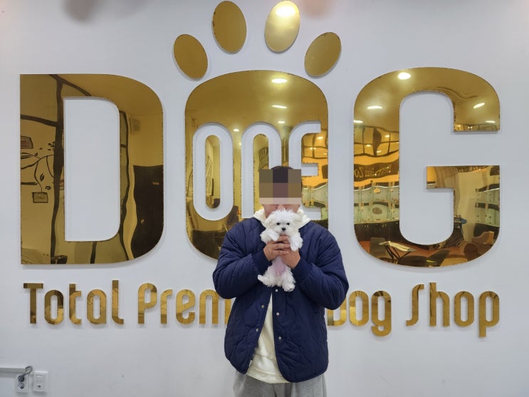  세종시 애견분양 센터 원독의 자랑!말티즈 공주님 말티즈 공주님을 입양한 유튜버 이야기