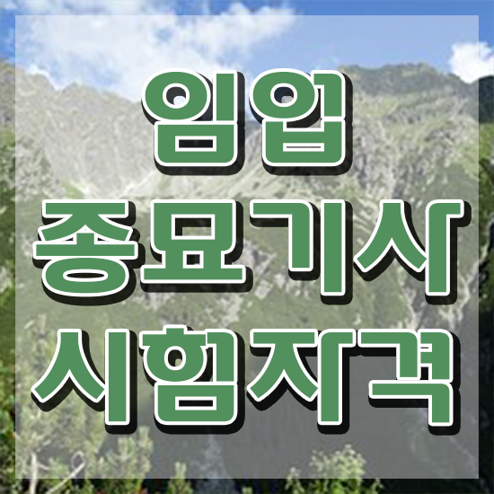  임업종묘기사 시험 자격 임업종묘기사 취득자격 온라인으로 편하게 완료한 전략