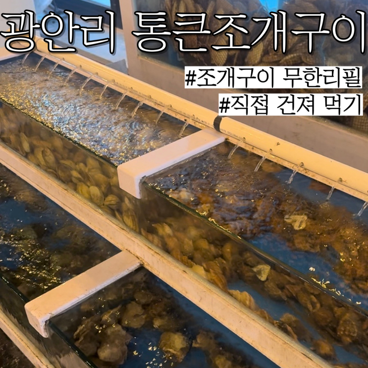  광안리 조개구이: 조개구이 무한리필로 먹으며 소고기,돼지고기도 있는 "통큰조개구이 무한리필본점"