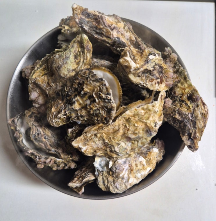통영청년수산 집에서 제철 통영 석화찜하는법, 통영 홍가리비찜하기 통영청년수산 집에서 제철 통영 석화찜하는법, 통영 홍가리비찜하기