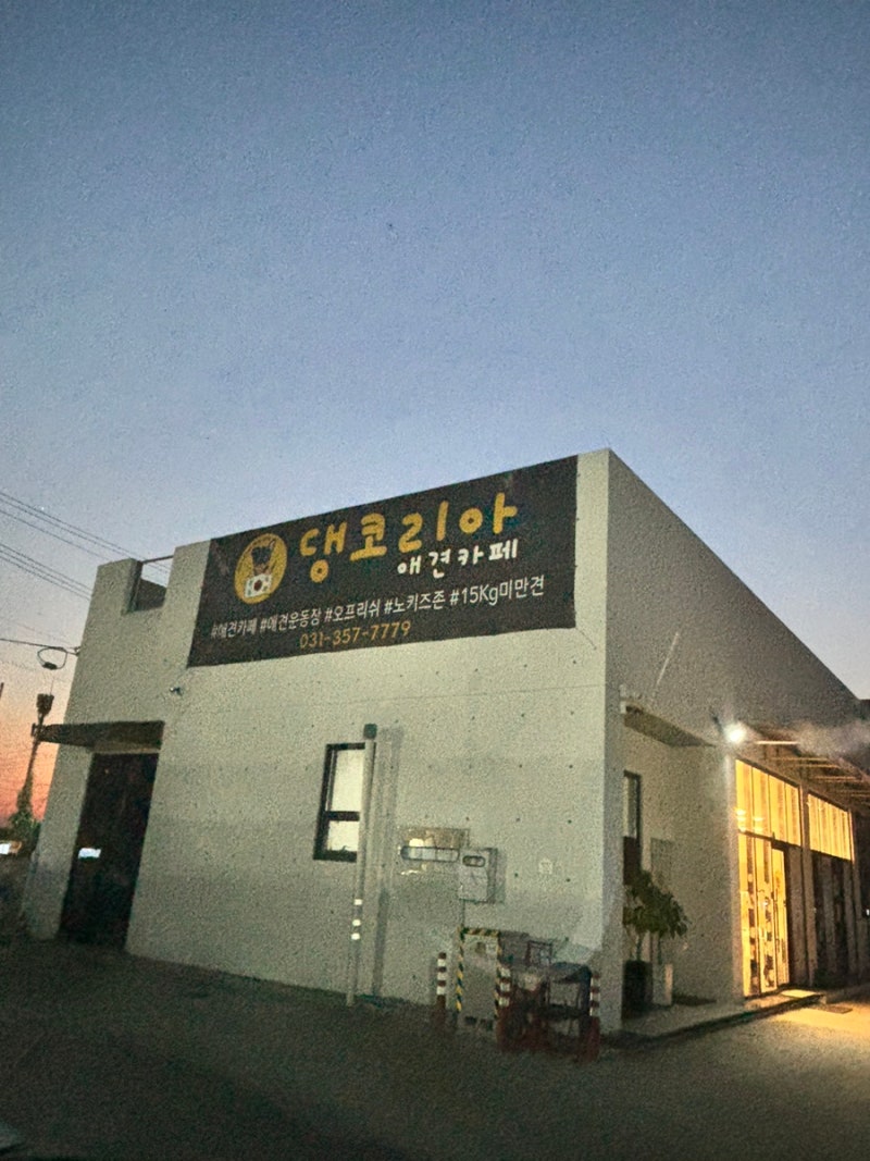 사진 3