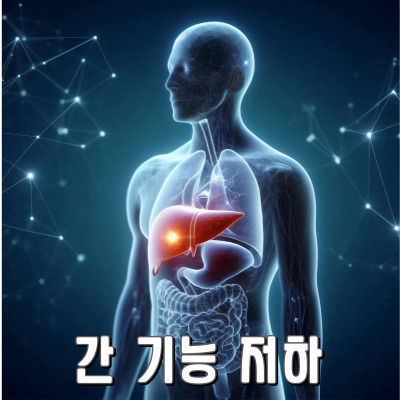간기능이 안좋을 때 생기는 증상들 정리