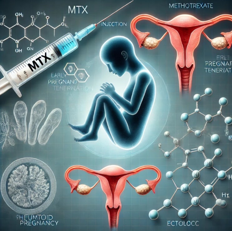  MTX주사 부작용 용량 비용 낙태