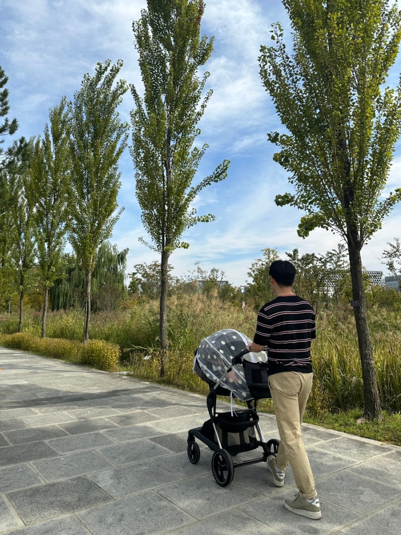 유모차 끌고 아기랑 나들이 마곡 서울식물원 수유실 엘리베이터