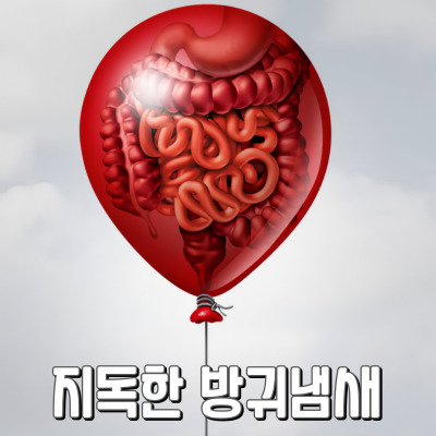독한 방귀 냄새 해결책은?